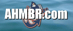 Le site Internet du hockey mineur de la rgion du Bas-Richelieu