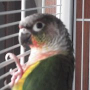 DSCF7789.jpg