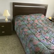 IMG_0252.jpeg