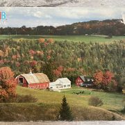 IMG_1029.jpg