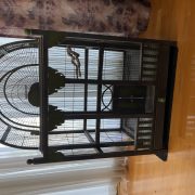 IMG_2028.jpeg