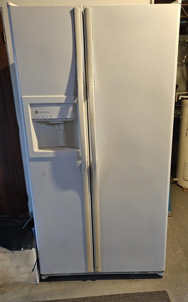 1000029248.jpg