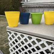 IMG_0684.jpg
