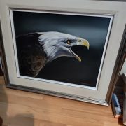 IMG_20250411_093106935_HDR-1.jpg