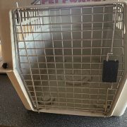 IMG_2032.jpeg