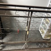 IMG_3142.jpeg