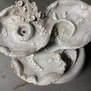 IMG_3143.jpeg