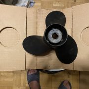 IMG_2069.jpeg