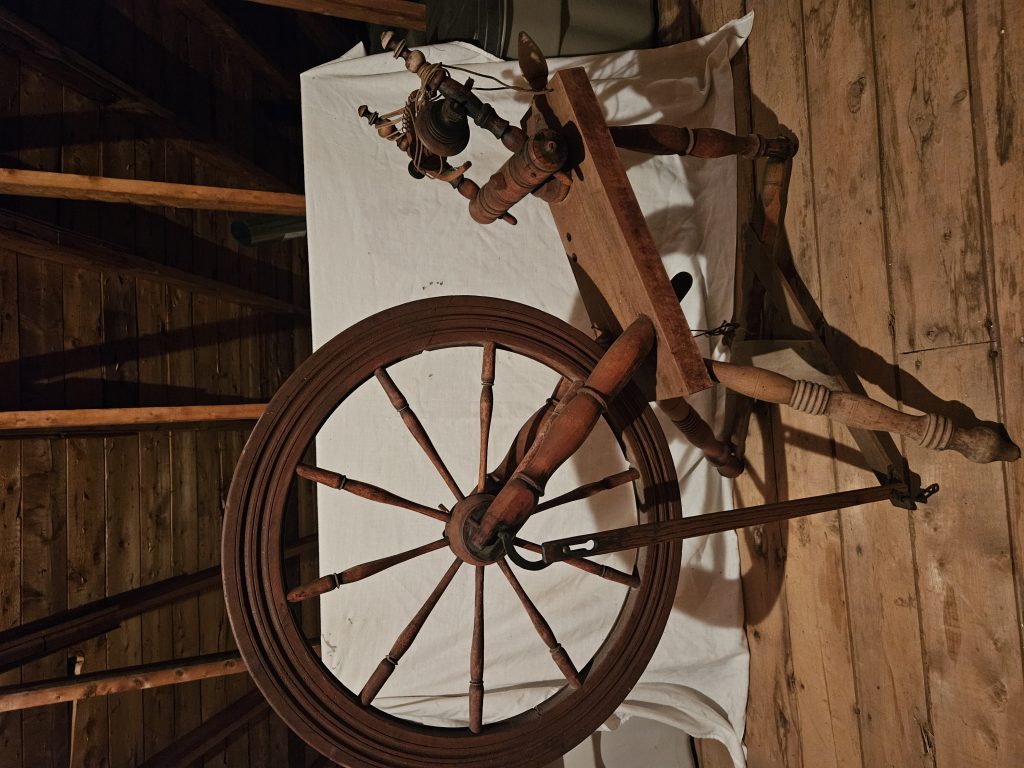 20250628_133223.jpg