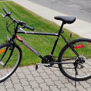 IMG_20250727_095801916_AE-3.jpg