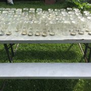 IMG_2365.jpeg