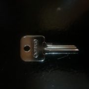 IMG_3377.jpeg
