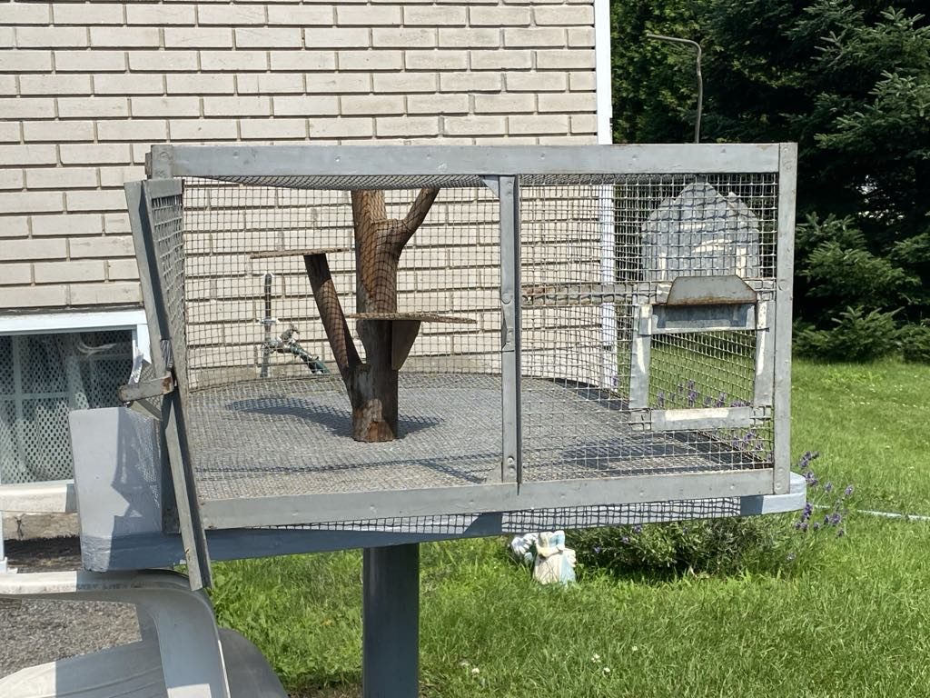 cage-1.jpg