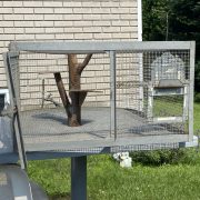 cage-1.jpg