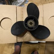 IMG_2071.jpeg