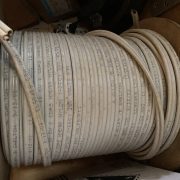 IMG_3557.jpeg