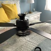 IMG_9598.jpeg