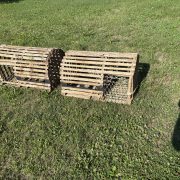 IMG_3915-1.jpeg